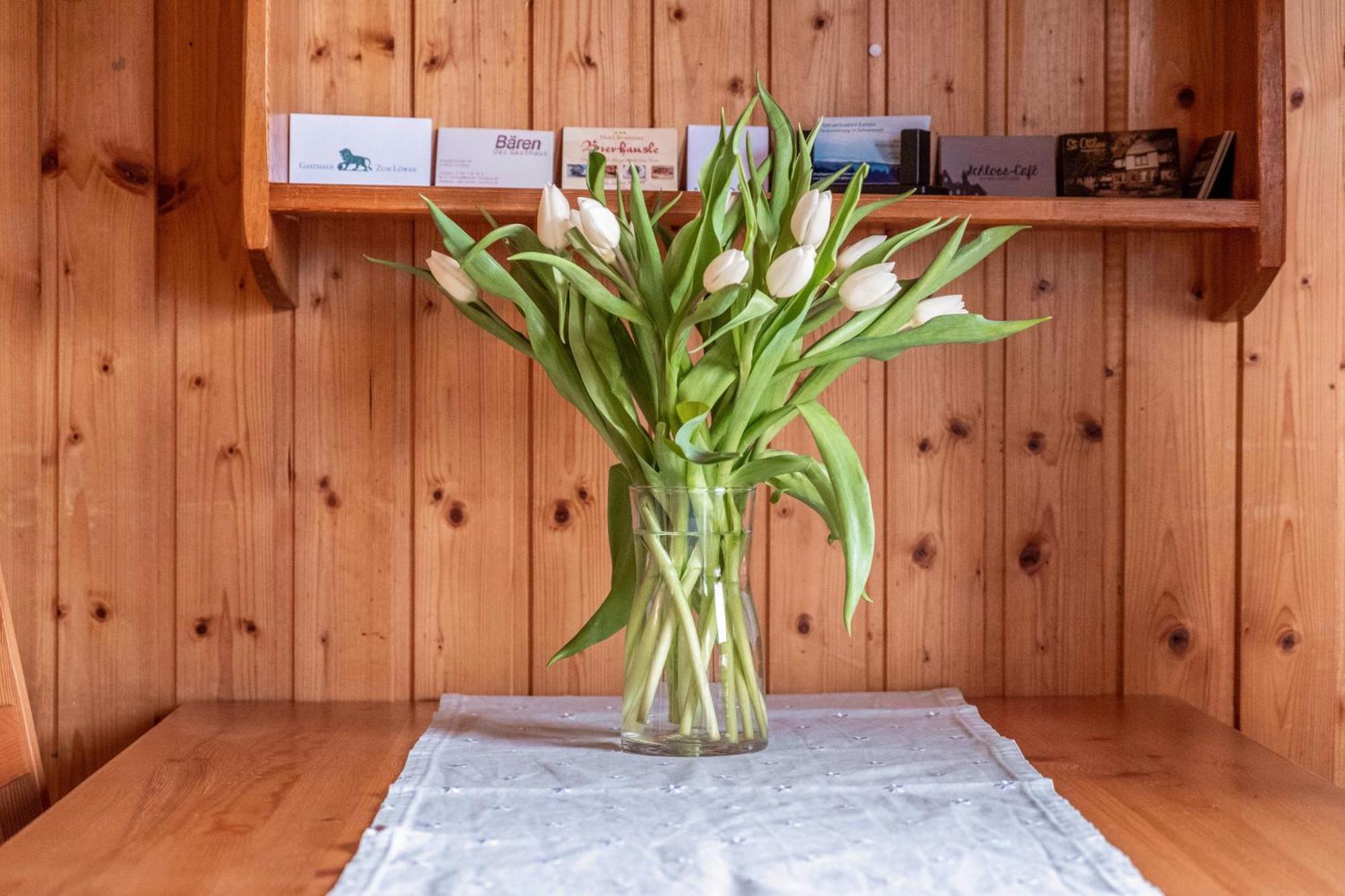 Lehen Apartment Freiburg im Breisgau